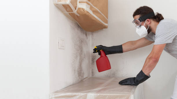 Professional Attic Mold Remediation technician working in Liverpool, NY